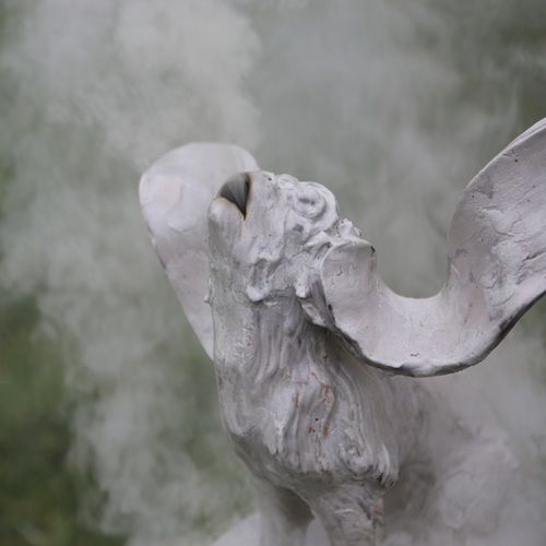 * Camille Grosperrin